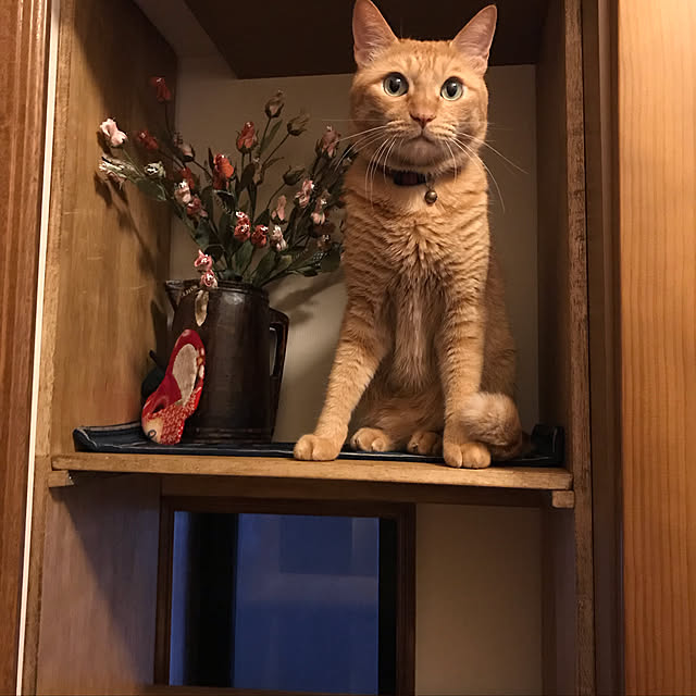sakiさんの実例写真