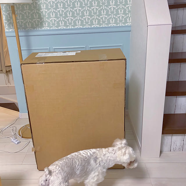 suzyさんの実例写真