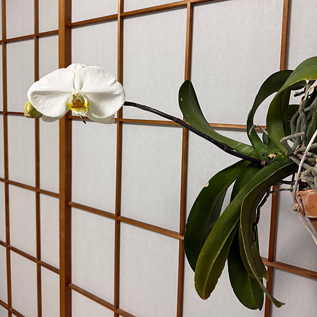 Aqettyさんの部屋