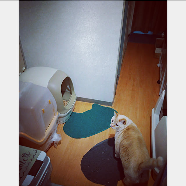 mntcさんの実例写真