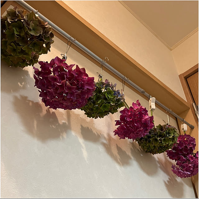 yukarin-gardenさんの部屋