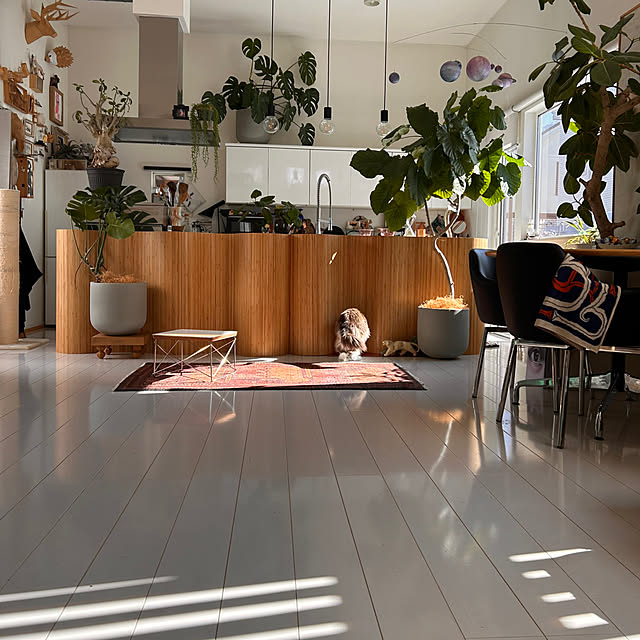 nonononakaさんの実例写真