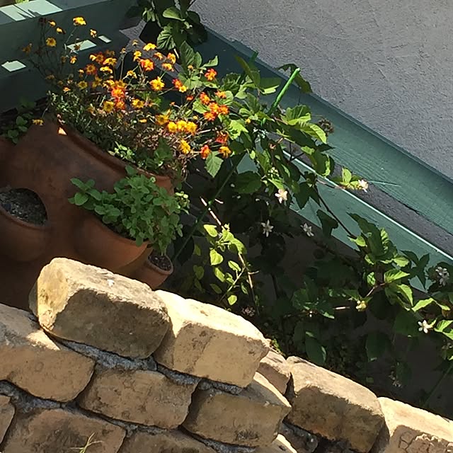 smileさんの実例写真