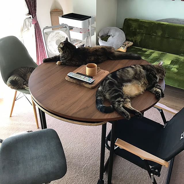 mikomaruさんの実例写真