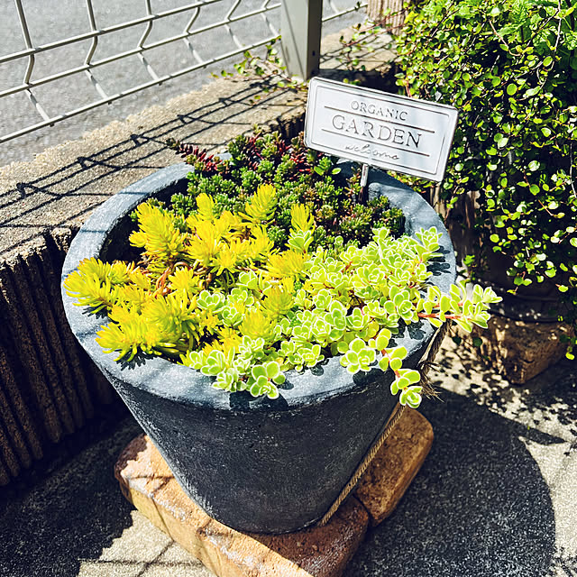 Royさんの実例写真