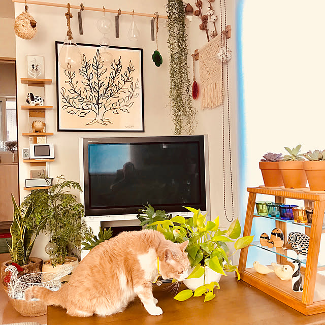 BUNさんの実例写真