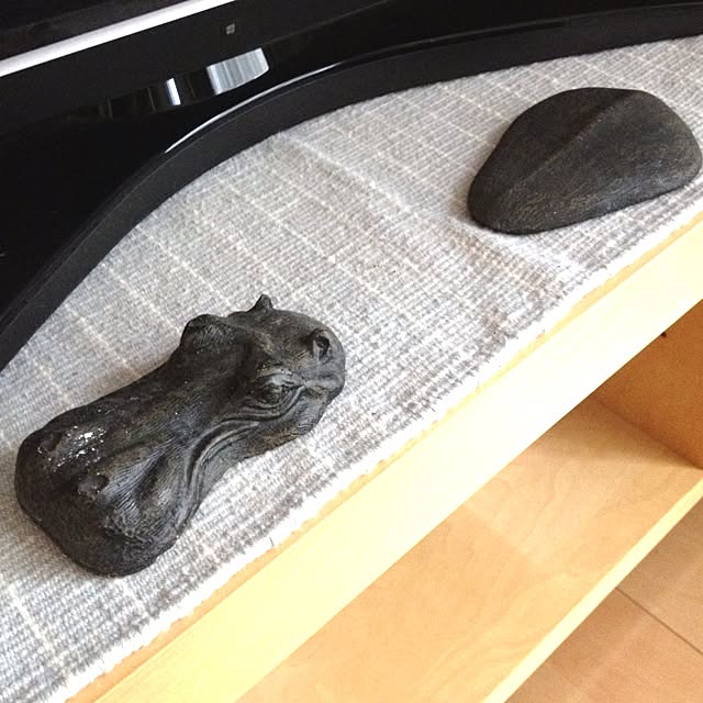 dicekbeetleさんの実例写真