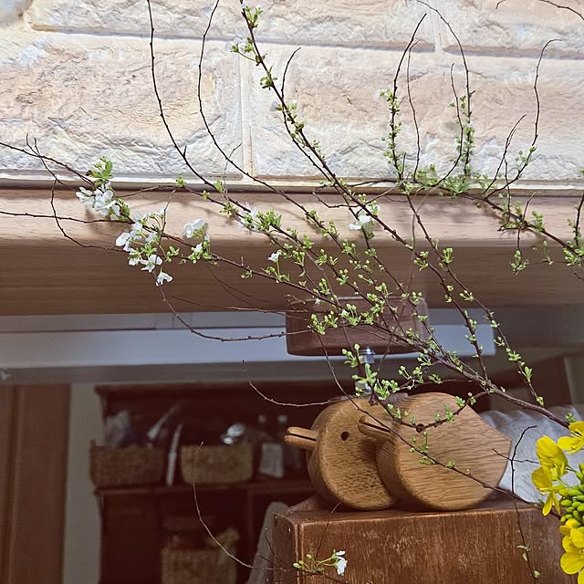 mocomocoさんの部屋