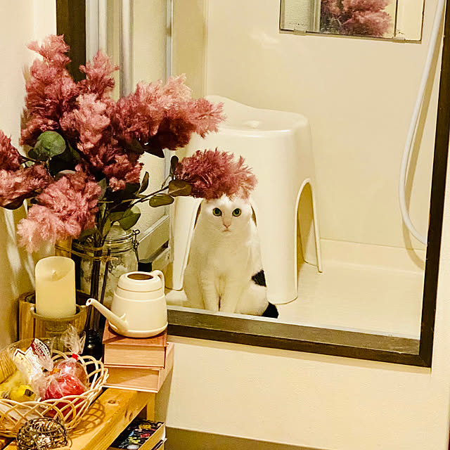 YUKAさんの部屋