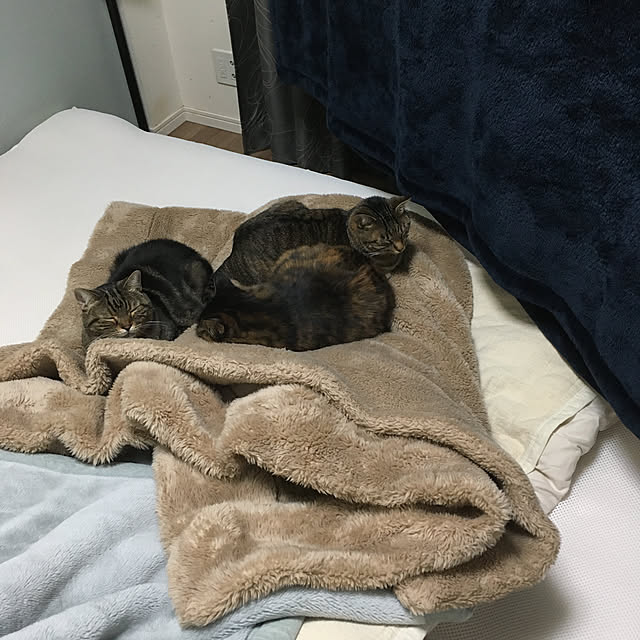 mikomaruさんの実例写真
