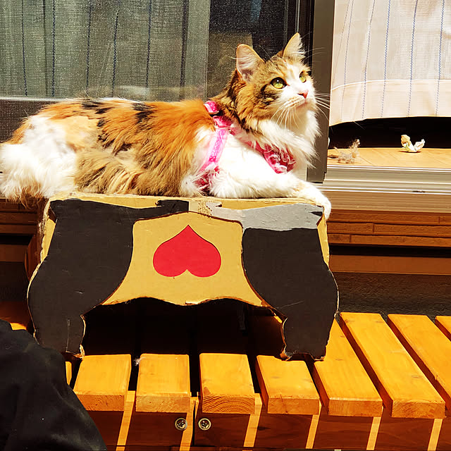 aninoさんの実例写真