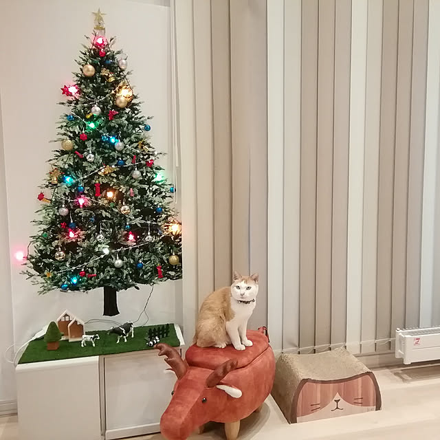 rereさんの実例写真