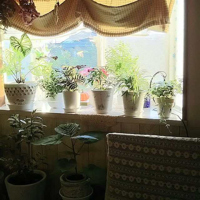 naopyiさんの実例写真