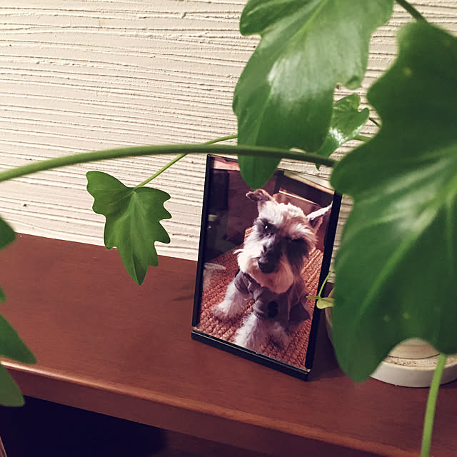 Nagakoさんの実例写真