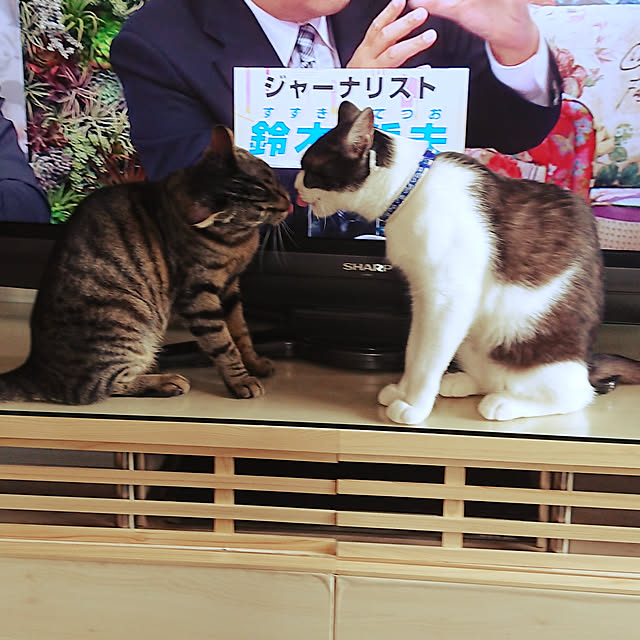 taka-kiさんの実例写真