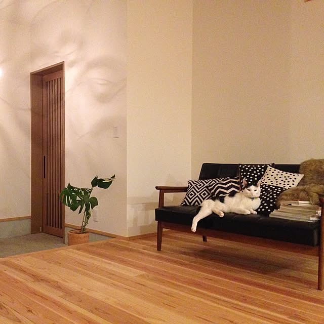 hachi8さんの実例写真