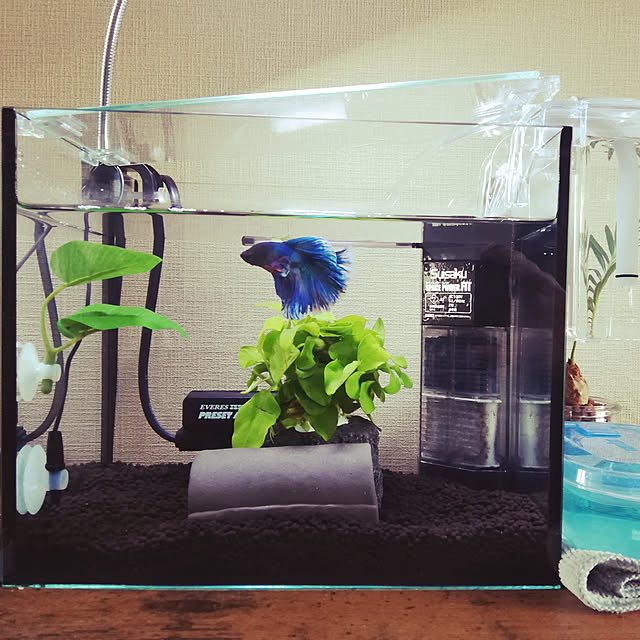 YIさんの実例写真