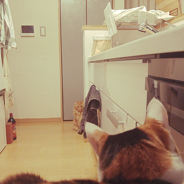 l..tomesanさんの実例写真