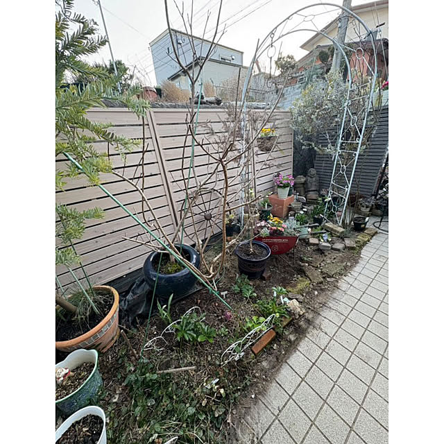WOODPROさんの部屋