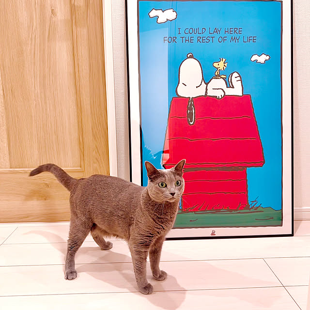 snoopyさんの部屋