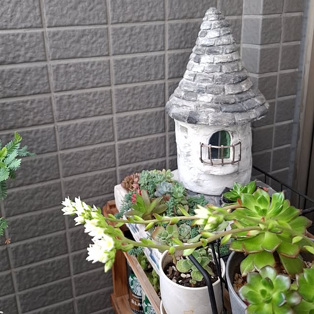 noaさんの実例写真