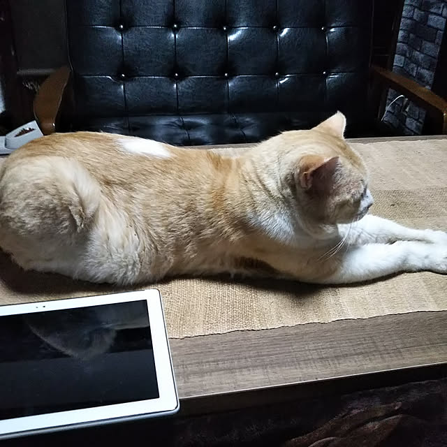 me_ta_815さんの実例写真