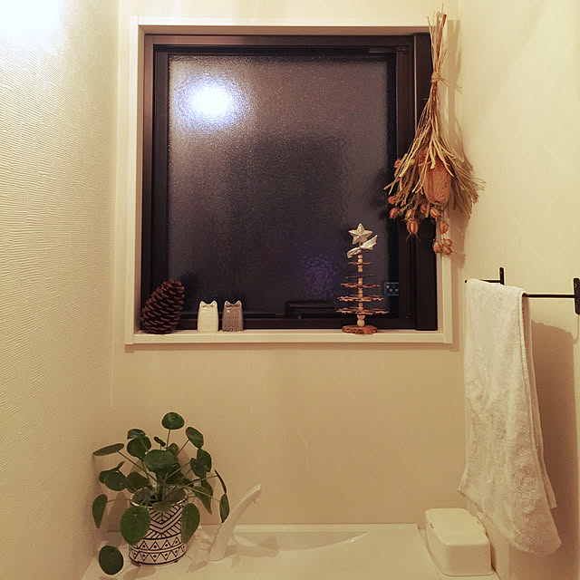 momomegu358さんの実例写真