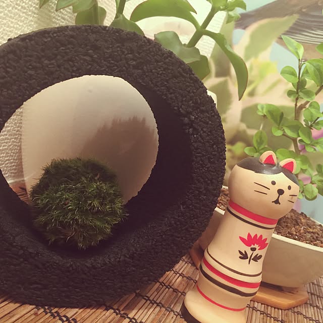 Sakitiさんの実例写真