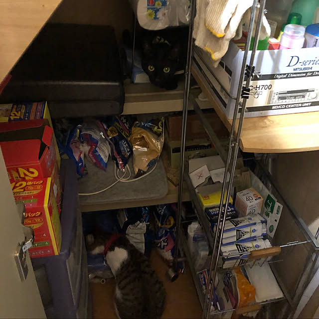 jijiさんの実例写真