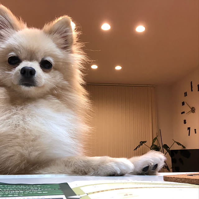 t.k.mさんの実例写真
