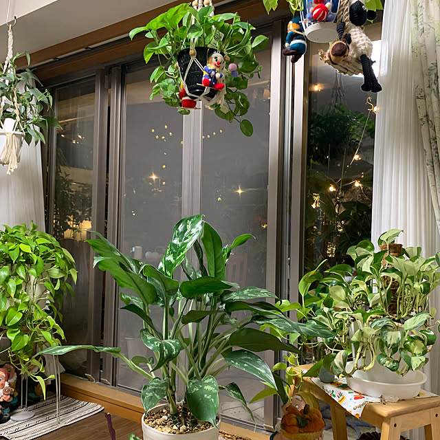 Aqettyさんの部屋