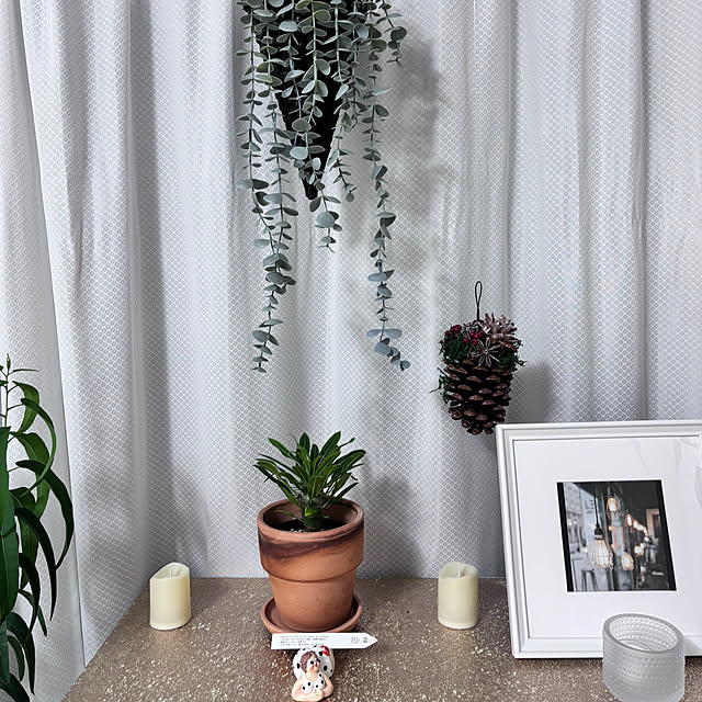 HITOさんの部屋