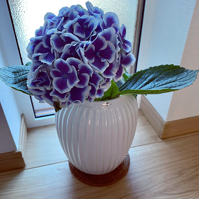 Juno06さんの実例写真
