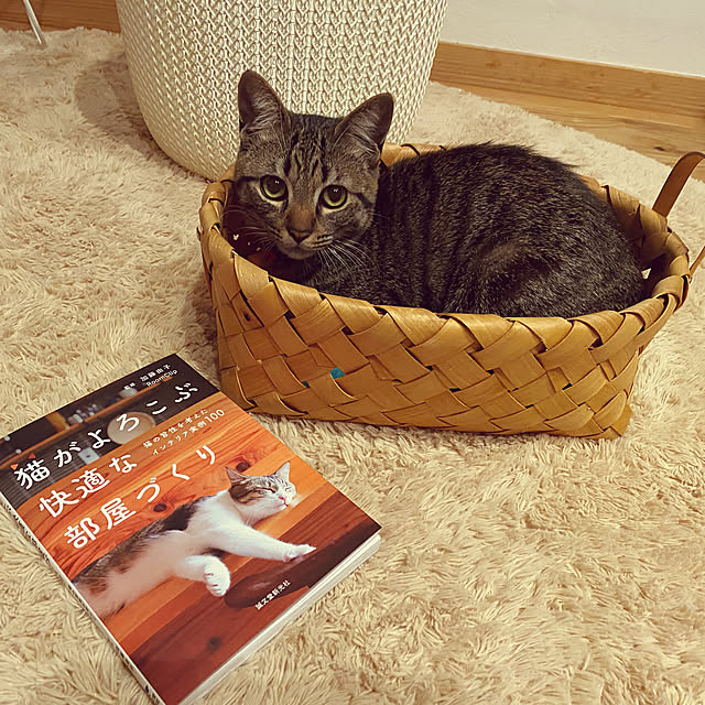 puu.tuuliさんの実例写真
