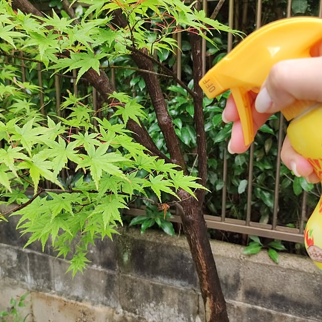 kumako.ieさんの部屋