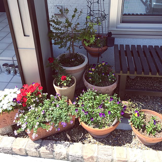 le-nuage-blancさんの実例写真