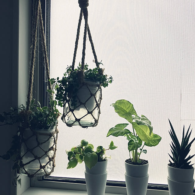 sachicoさんの実例写真