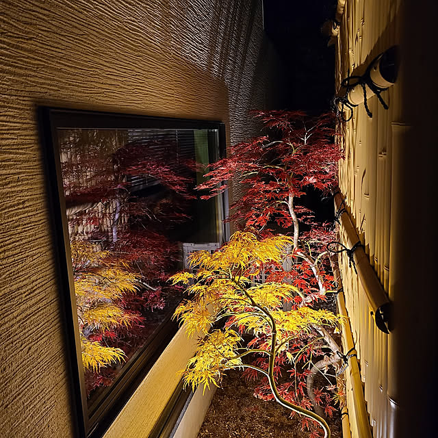 karikoroさんの実例写真