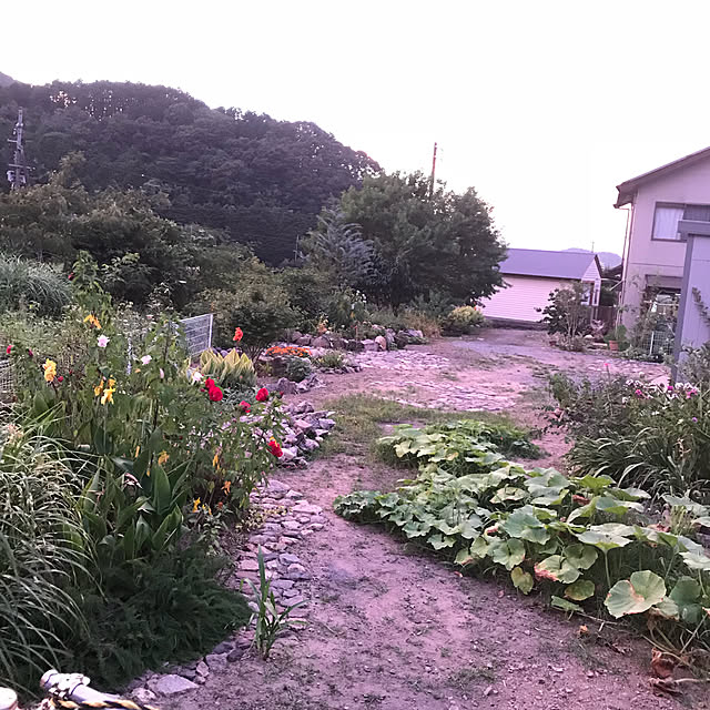pepeさんの実例写真