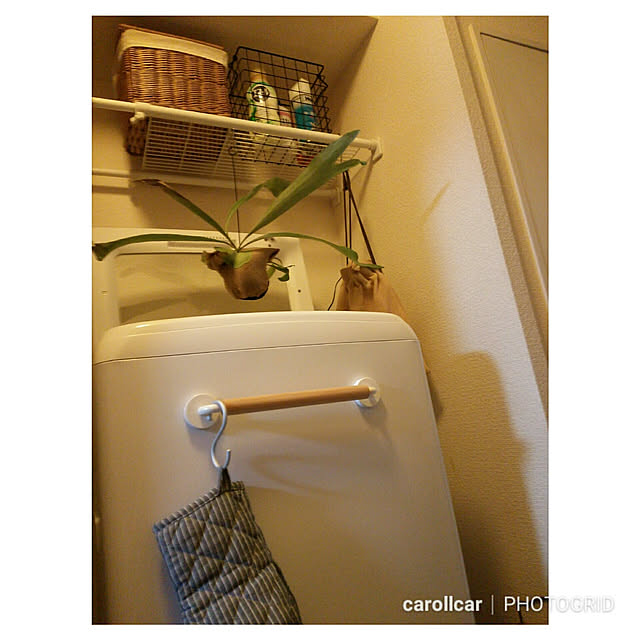carollcarさんの実例写真