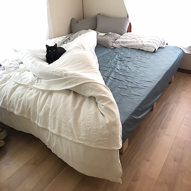 nillchibaさんの実例写真