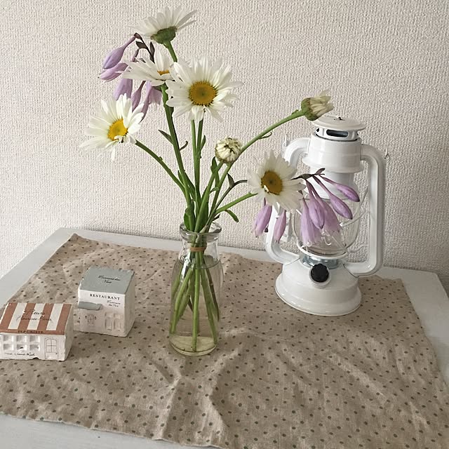 anaさんの実例写真