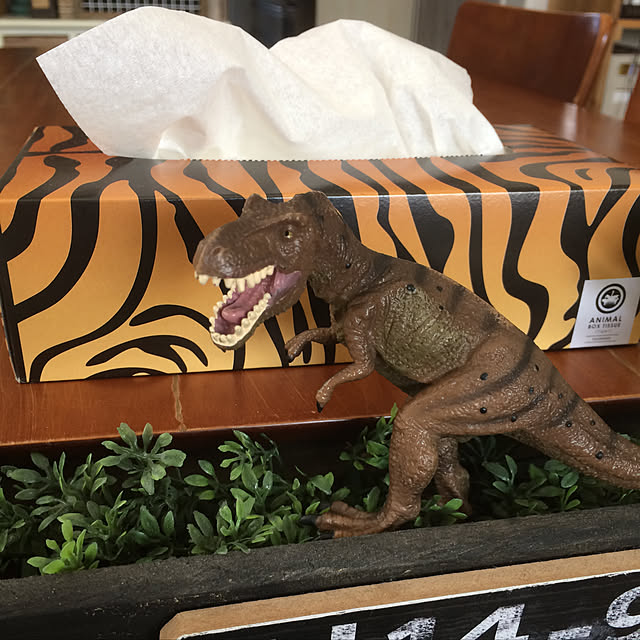 kumariraさんの実例写真