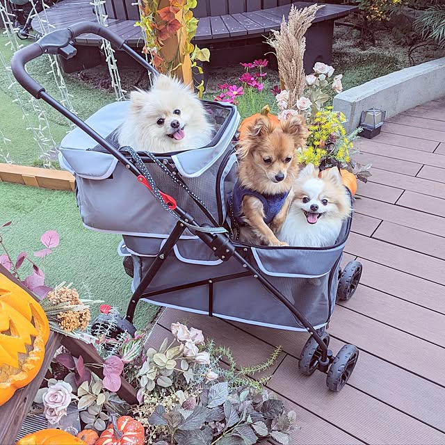 noahさんの実例写真
