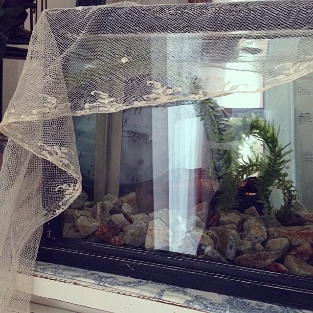 miiさんの実例写真