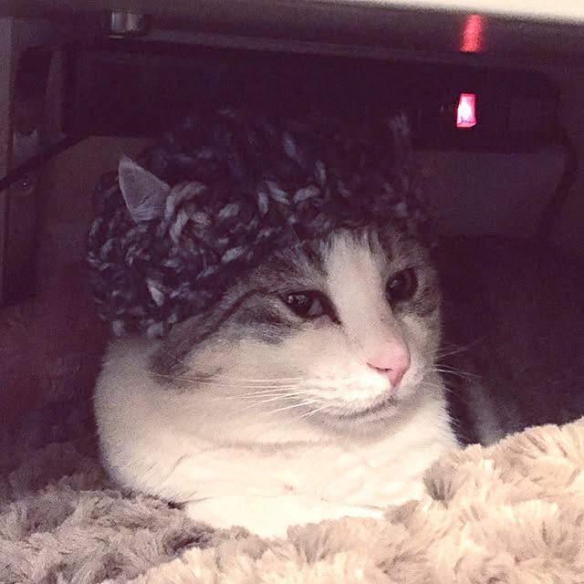 emmyyさんの実例写真