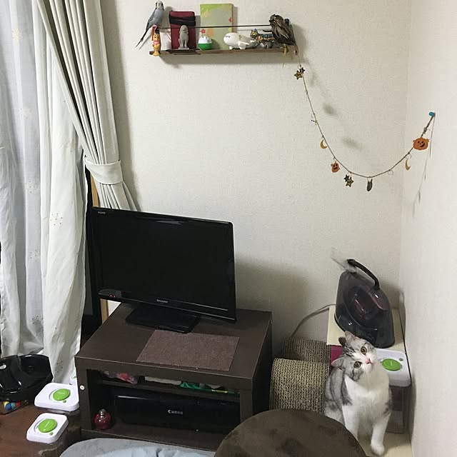 narashimhaさんの実例写真