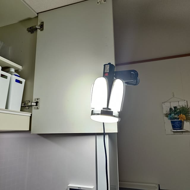 noguriさんの部屋