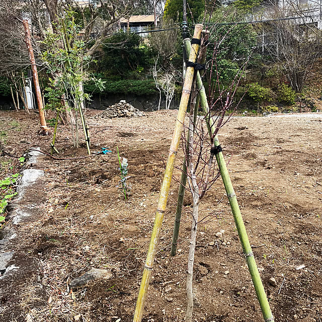 kabu10さんの部屋