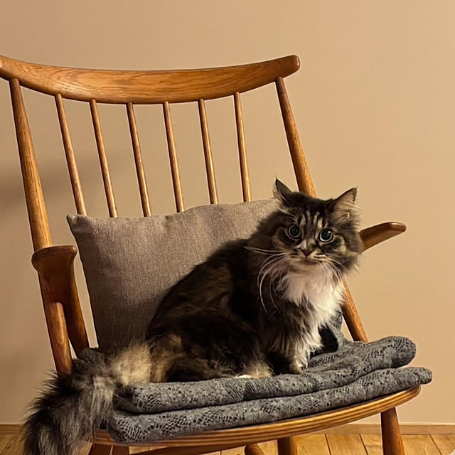 Hisashiさんの実例写真